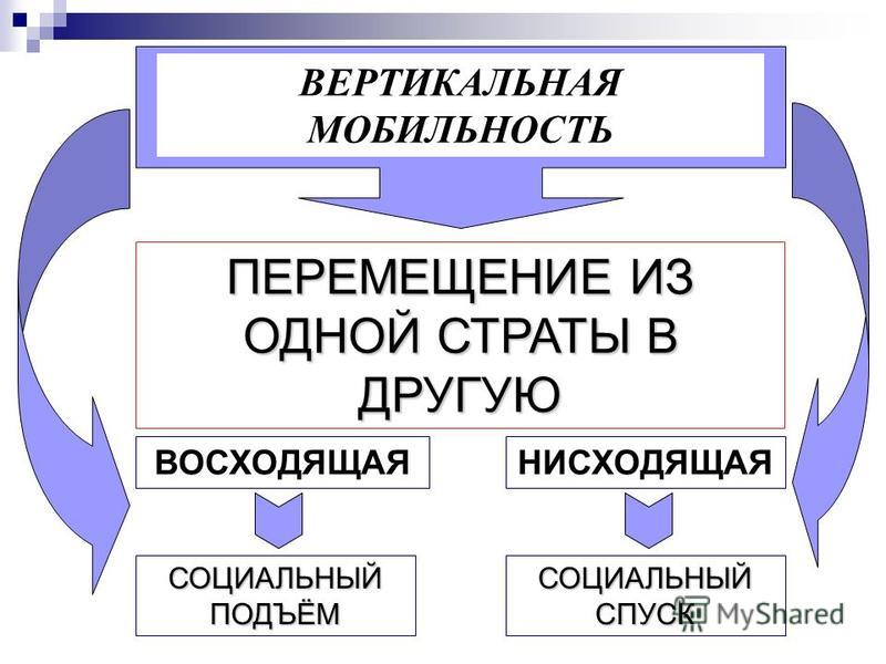 1 горизонтальной мобильности