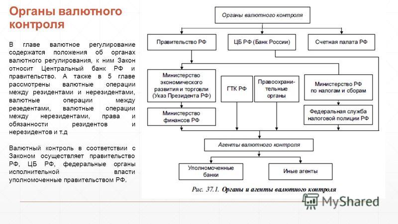 Органами контроля являются. Органы валютного регулирования и валютного контроля в РФ. Система валютного регулирования и валютного контроля в РФ схема. Система органов и агентов валютного контроля в Российской Федерации. Структура валютного контроля в РФ.