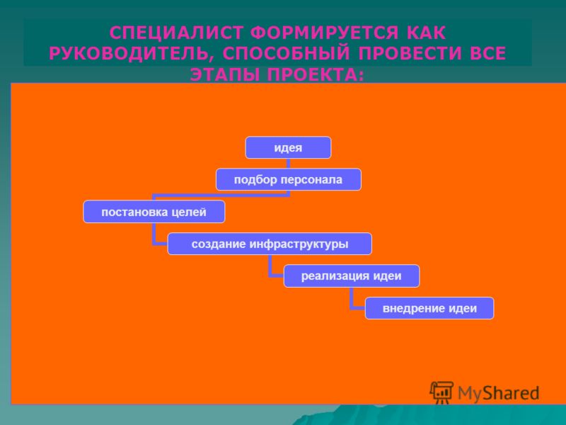 Руководитель проекта обязанности