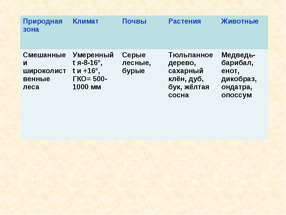 План описания смешанных и широколиственных лесов. Таблица по географии 7 класс природные зоны почвы растительность. Таблица география природные зоны климат растительность животный мир. Смешанные и широколиственные леса климат растения животные таблица. Смешанные и широколиственные леса климат почва растения животные.