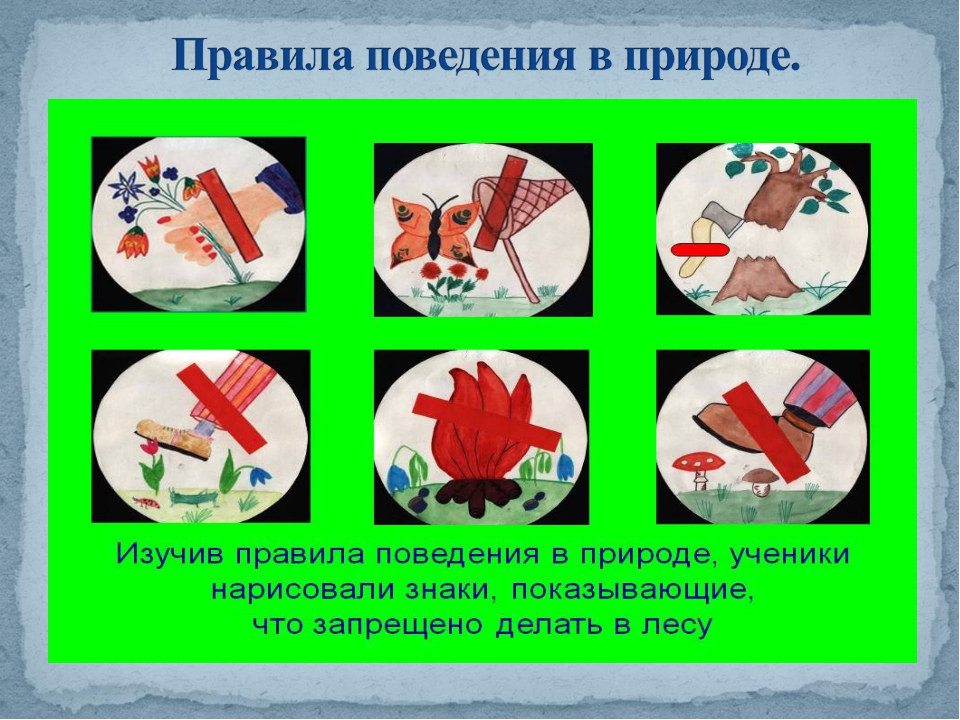 Что нельзя делать 7 июня. Правлаповедеявприроде. Правила поведения втприроде. Павилапведенияв природе. Правила поведения на природе.