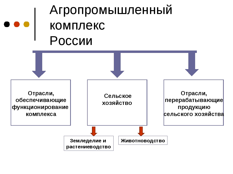 Редакции апк. Агропромышленный комплекс (АПК).