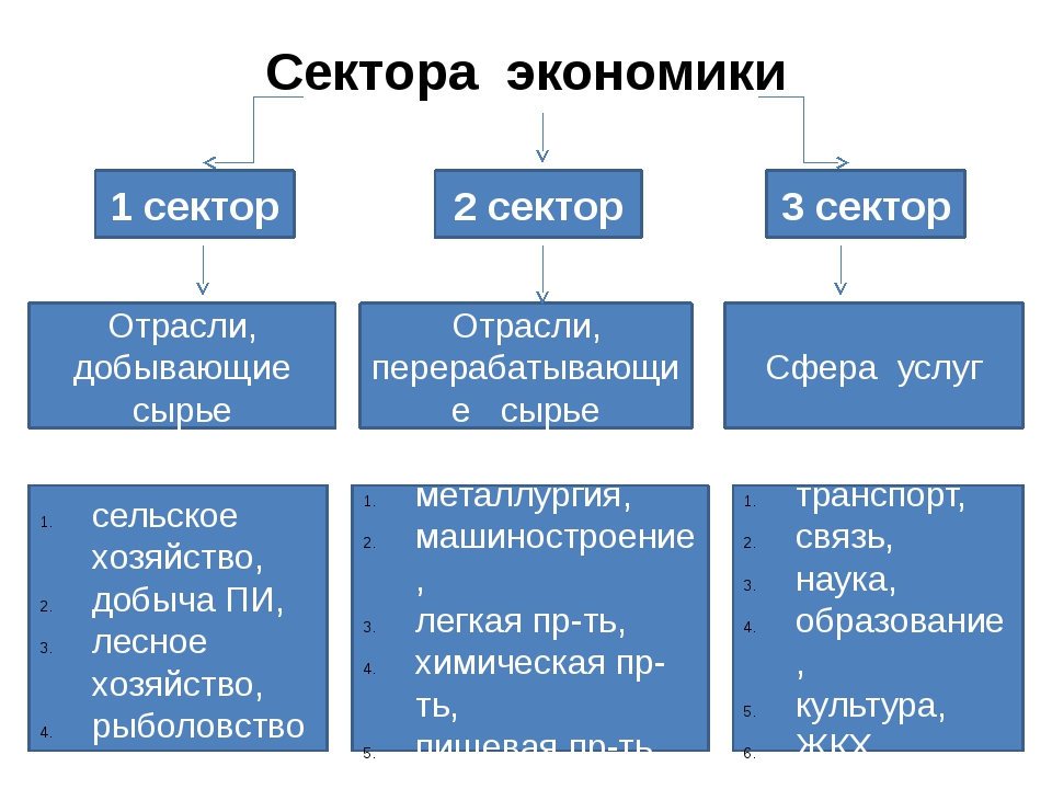 Пример экономического текста. Сектора экономики. Основные сектора экономики. Секторы хозяйства. Сектора экономики примеры.