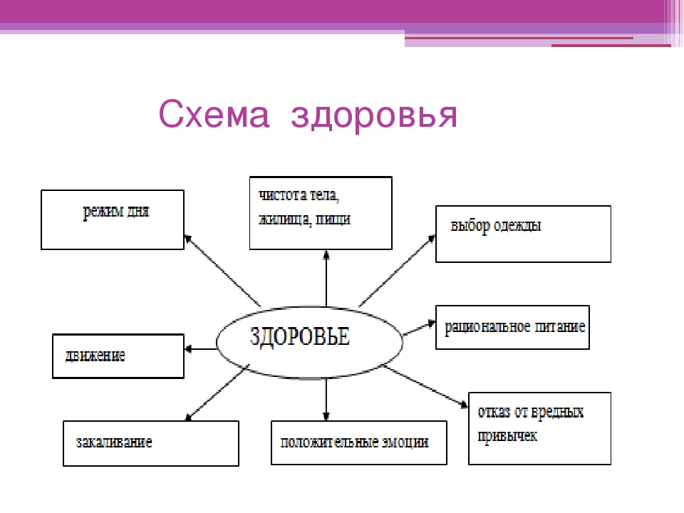 Родители придумали схему донатов. Образ жизни схема. Здоровый образ жизни схема. Схему составляющих ЗОЖ. Составляющие здоровья схема.