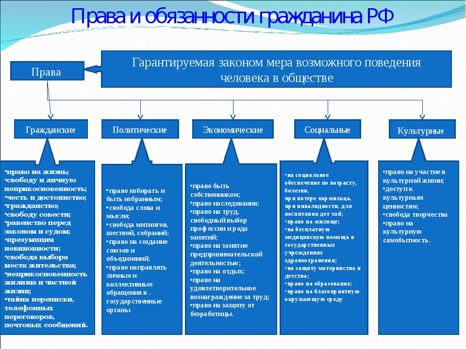 Конституционные обязанности человека и гражданина трудиться