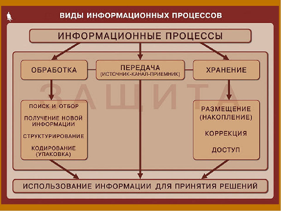 Перечислите три типа. Основные информационные процессы таблица. Виды информационных процессов. Фиды информационных процессов. Основные виды информационных процессов.