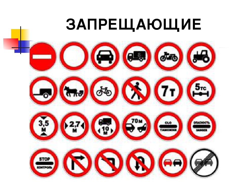 Сколько всего запрещающих. Дорожные знаки. Запрещающие дорожные знаки. Запрешаюшиезнакидорожногодвижения. Запрещающие знаки дорожного дв.