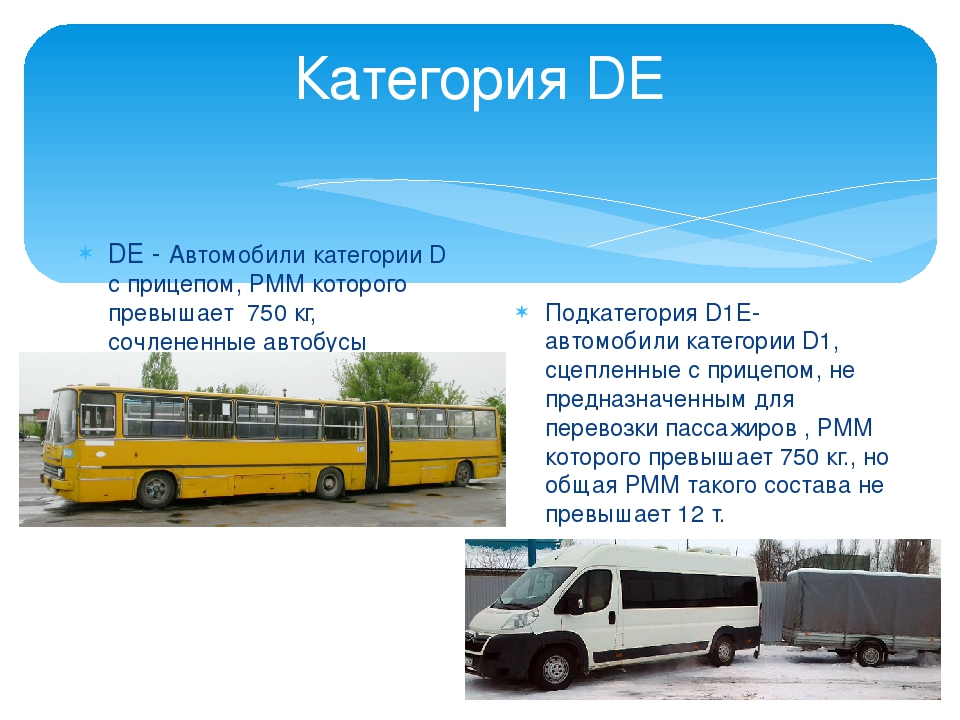 Категория транспортных средств б 1. Автомобили категории d. Автобус категории d. Автомобиль Катя. Категории транспортных средств.