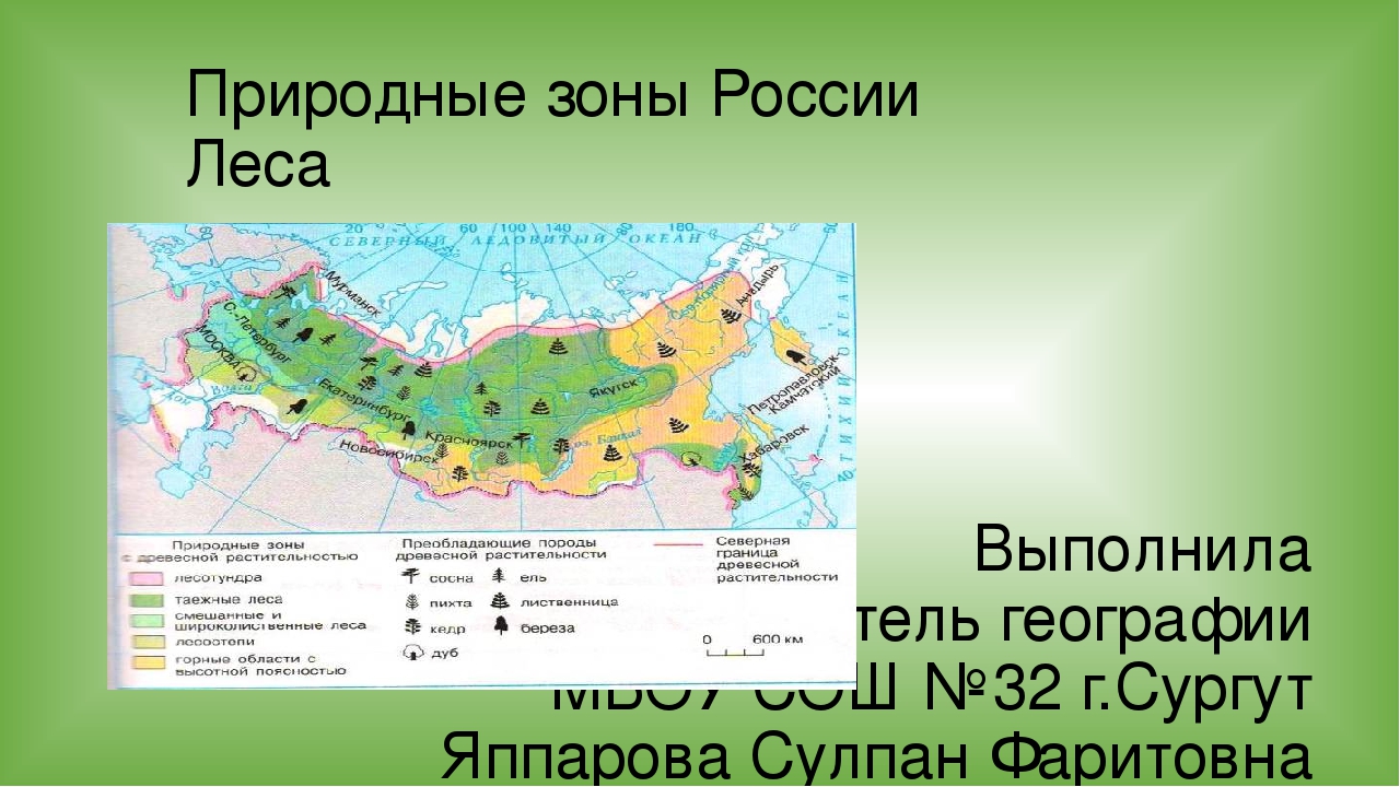 Пенза какая природная зона. Природные зоны. Природные зоны России. Природные зоны лесов России. Географические зоны России на карте.