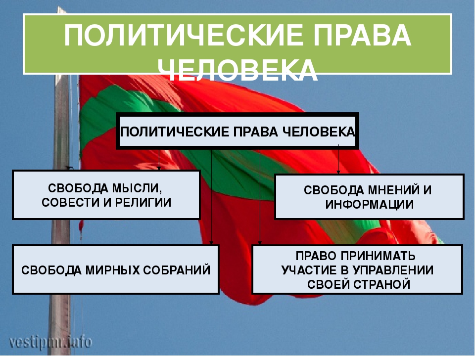 Три примера политических прав российских граждан. Политические обязанности.