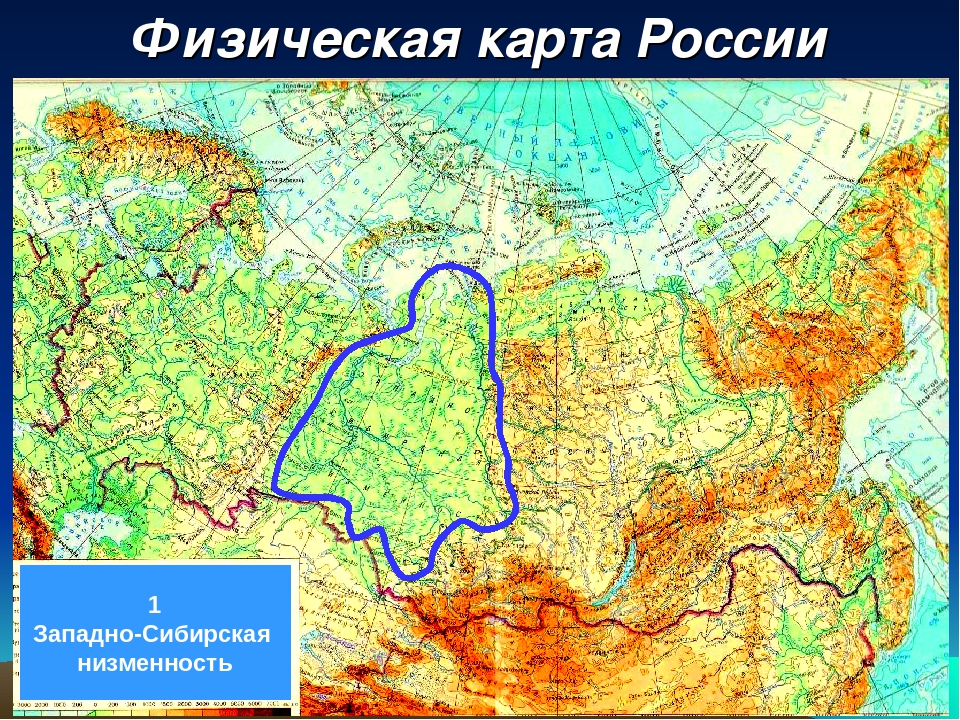 Про западно сибирскую равнину. Западно Сибирская низменность на карте полушарий. Западно-Сибирская низменность на карте физической. Восточно Сибирское плоскогорье на карте. Физическая карта Западно сибирской равнины.