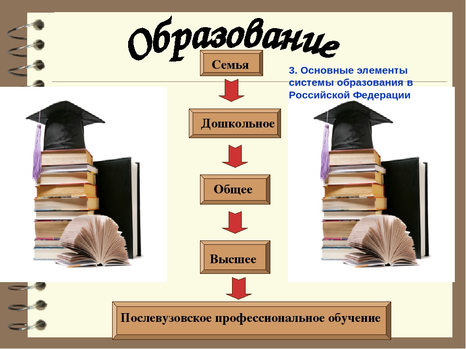 Обществознание тема образование. Элементы системы образования. Основные элементы образования. Система образования в России картинки. Российская система образования рисунок.