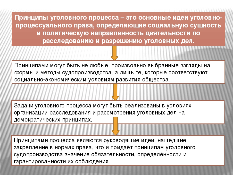 4 принципа судопроизводства. Понятие и система принципов уголовного процесса. Принципы уголовного судопроизводства. Уголовный процесс принципы стадии участники.