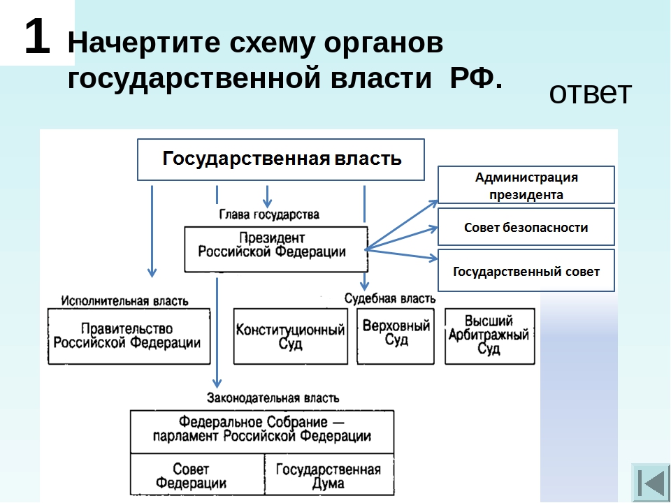 Высшие органы гос власти РФ.