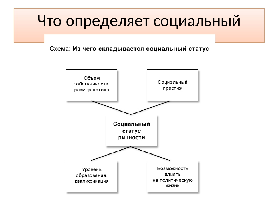 Тип основных социальных статусов. Социальные статусы и роли схема. Социальные статусы 8 класс схема. Социальный статус презентация. Схема виды социальных статусов.