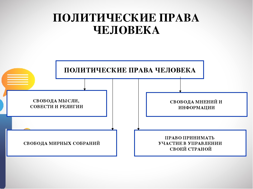 3 примера политических прав российских граждан. Политические Арава человека.