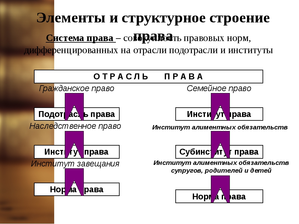 Семейное право и другие отрасли. Семейное право институт отрасли.