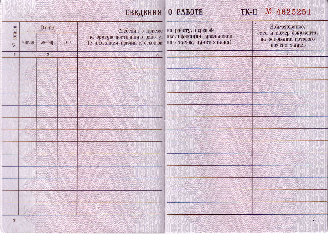 Как работать официально на 2 работах: Можно ли официально устроиться на