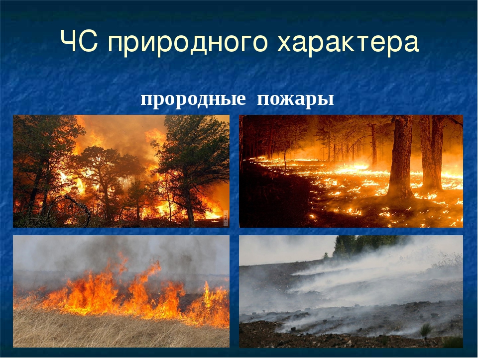 Противодействие природным чрезвычайным ситуациям. ЧС природного характера. Ч.С природного характера. Природные явления ЧС. Природные пожары ЧС природного характера.