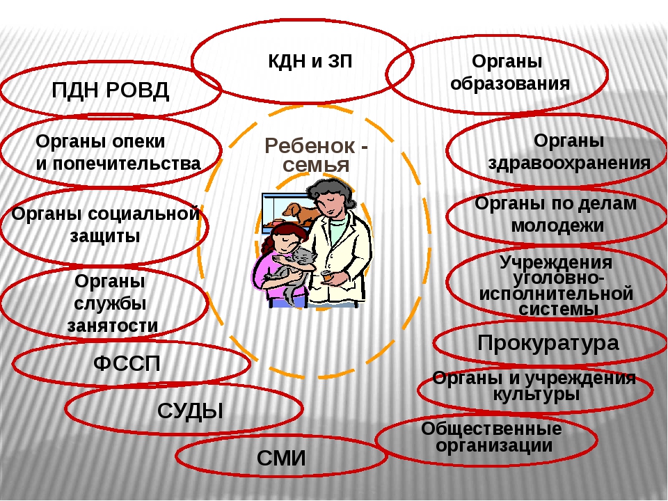 Человек и социальное окружение 6 класс. Субъекты профилактики ПДН. КДН ПДН ЗП расшифровка. С кем взаимодействует опека и попечительство. Взаимодействие приемной семьи с органами опеки и попечительства.