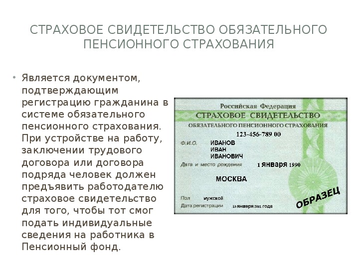 Какие нужны документы для устройства на работу: Правила приема