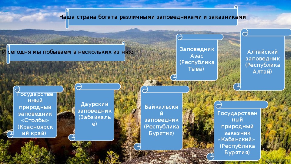 Чем заповедник отличается от заповедника. Заказники заповедники и национальные парки отличия. Заповедник заказник национальный парк. Заказник заповедник национальный парк отличия. Отличие заповедника от национального парка.