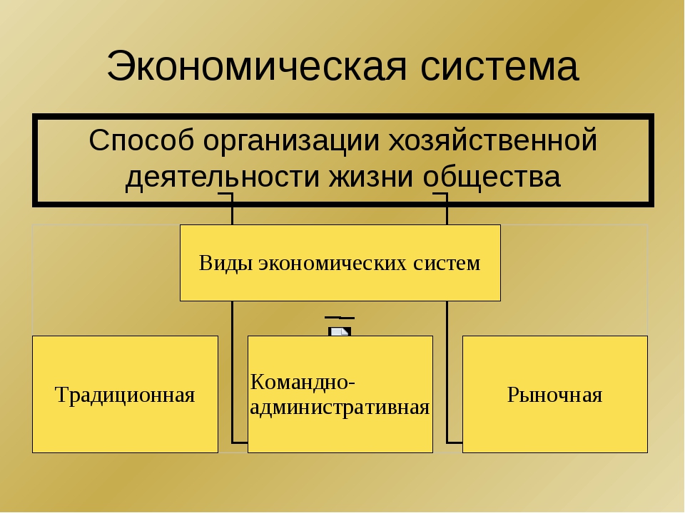 Какой тип экономических организаций может быть. Типы экономических систем. Экономическая система общества. Типы экономической системы общества. Системы организации экономической жизни общества.