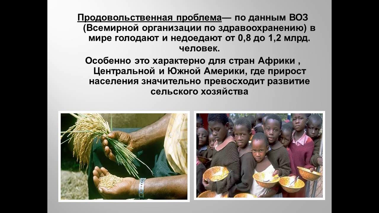 Голод и деньги. Продовольственная проблема. Глобальная продовольственная проблема. Продовольственная Глобальная проблема человечества. Продовольственная проблема в Африке.
