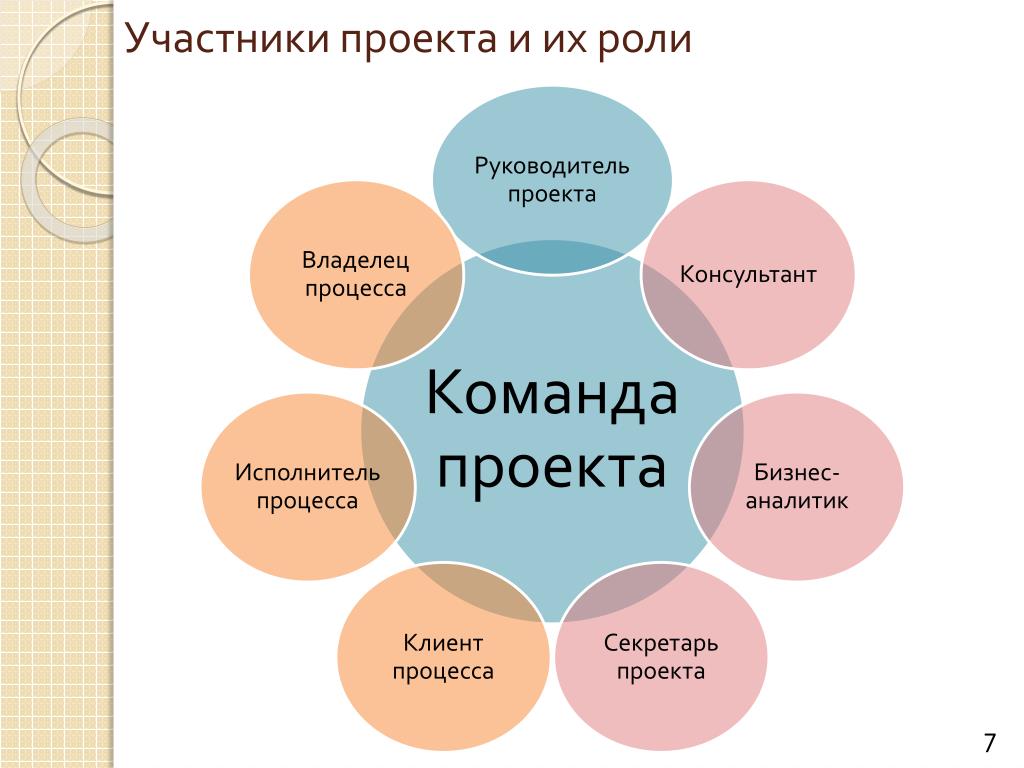 Руководитель интернет проекта обязанности