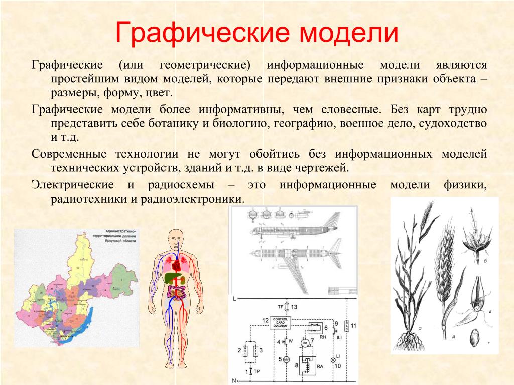 Пример графической модели материальная модель диаграмма макет