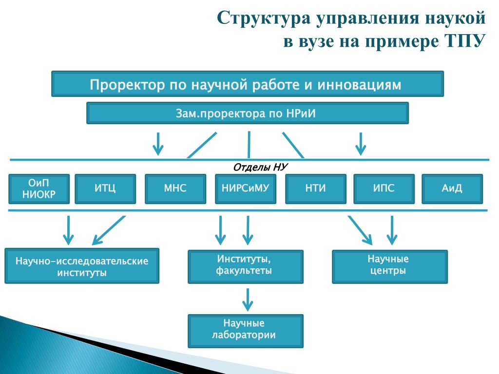 Научное управление в образовании