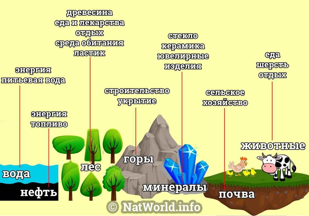 природные ресурсы, вода, нефть, лес, горы, минералы, почва, животные, схема, рисунок, иллюстрация