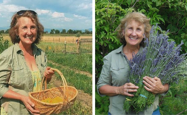 Cindy Jones on the Colorado Aromatics Farm