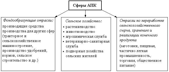 Используя рисунки 123 определите отрасли хозяйства