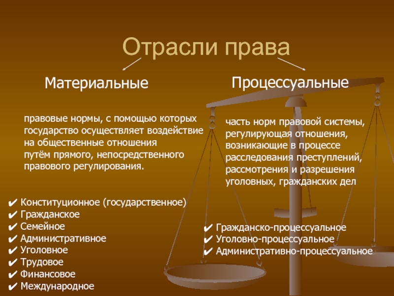 Процессуальные отрасли права 10 класс презентация