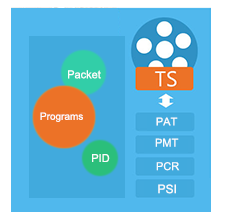 Important Elements of TS