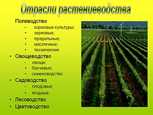 Российское растениеводство