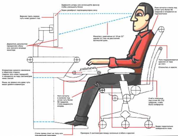 Как нужно сидеть за компьютером чтобы линия взора