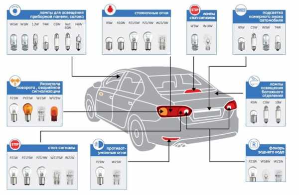 Свет автомобиля разновидности