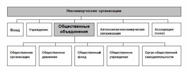 Коммерческие и некоммерческие организации презентация