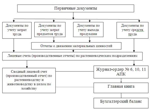 1с что такое мпз