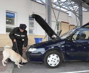 Что такое досмотр автомобиля