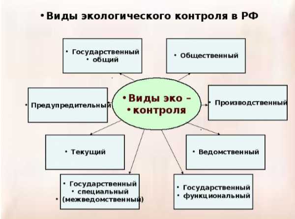 Презентация государственный экологический надзор