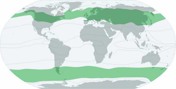 Карта климатических поясов мира