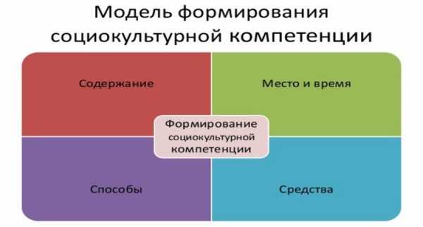 Компьютерная грамотность это компетенция или компетентность