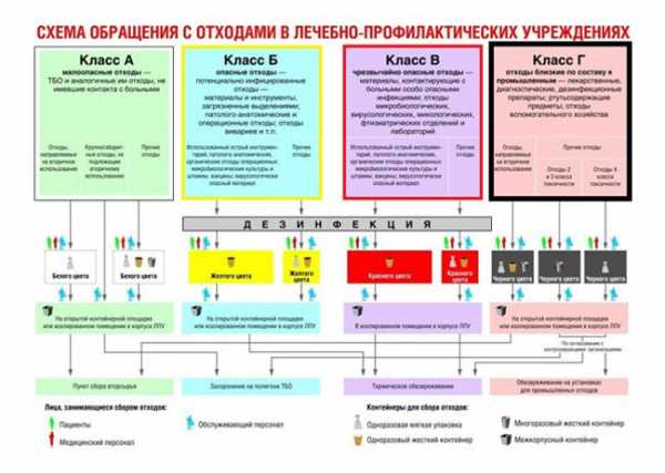 Схема движения медицинских отходов