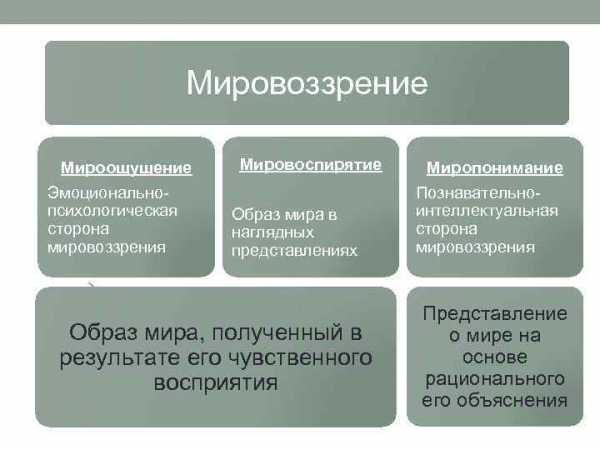 Мировоззрение план егэ обществознание