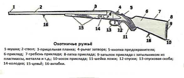 Получение охотничьего ружья. Составные части охотничьего ружья схема. Схема охотничьего ружья 12 калибра. Составные части охотничьего ружья ИЖ 58. Чертеж ружья ИЖ 27.