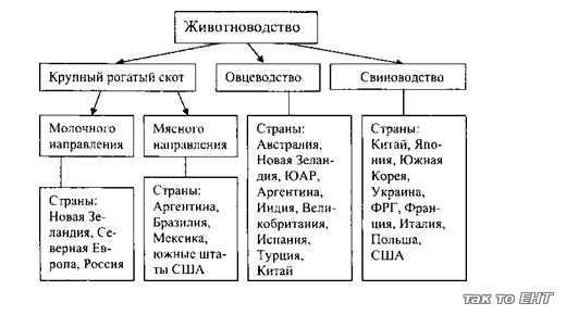 Используя информацию представленную на рисунке 88 объясните каким образом совместно обитающие виды