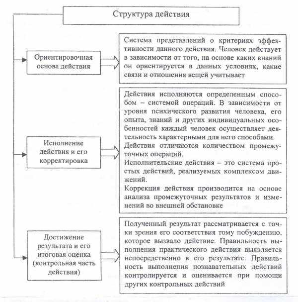 Характеристика понятия деятельность. Ориентировочная и исполнительная деятельность.